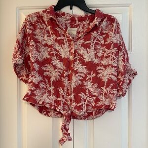 AE Cropped Button Up